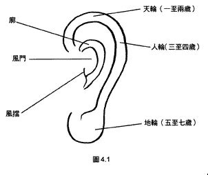 耳相學|金自在相面秘訣——耳朵篇